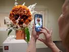 Art in Bloom back in person March 3-5 at the Saint Louis Art Museum